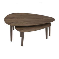 PANRA Solid Wood Set Of 2 Coffee Table