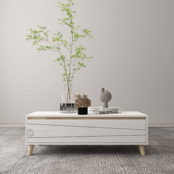 (Clearance) AURIS 2 Layer Coffee Table / Meja Ruang Tamu / Table With Storage / Coffee Table / High Meja