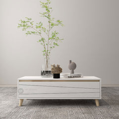 (Clearance) AURIS 2 Layer Coffee Table / Meja Ruang Tamu / Table With Storage / Coffee Table / High Meja
