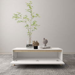 (Clearance) AURIS 2 Layer Coffee Table / Meja Ruang Tamu / Table With Storage / Coffee Table / High Meja