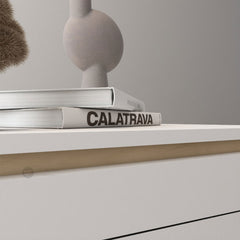 (Clearance) AURIS 2 Layer Coffee Table / Meja Ruang Tamu / Table With Storage / Coffee Table / High Meja