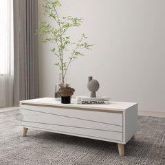 (Clearance) AURIS 2 Layer Coffee Table / Meja Ruang Tamu / Table With Storage / Coffee Table / High Meja