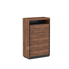BRAUN Series Chest Drawer