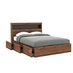 BRAUN Series Queen Bed Frame