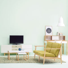 ENTEX 2 Seater Sofa