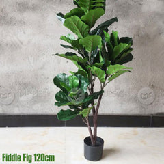 (Clearance) FIDDLE FIG Leaf Artificial Tree Artificial Plant Pokok Pisang Hiasan home