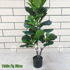 (Clearance) FIDDLE FIG Leaf Artificial Tree Artificial Plant Pokok Pisang Hiasan home